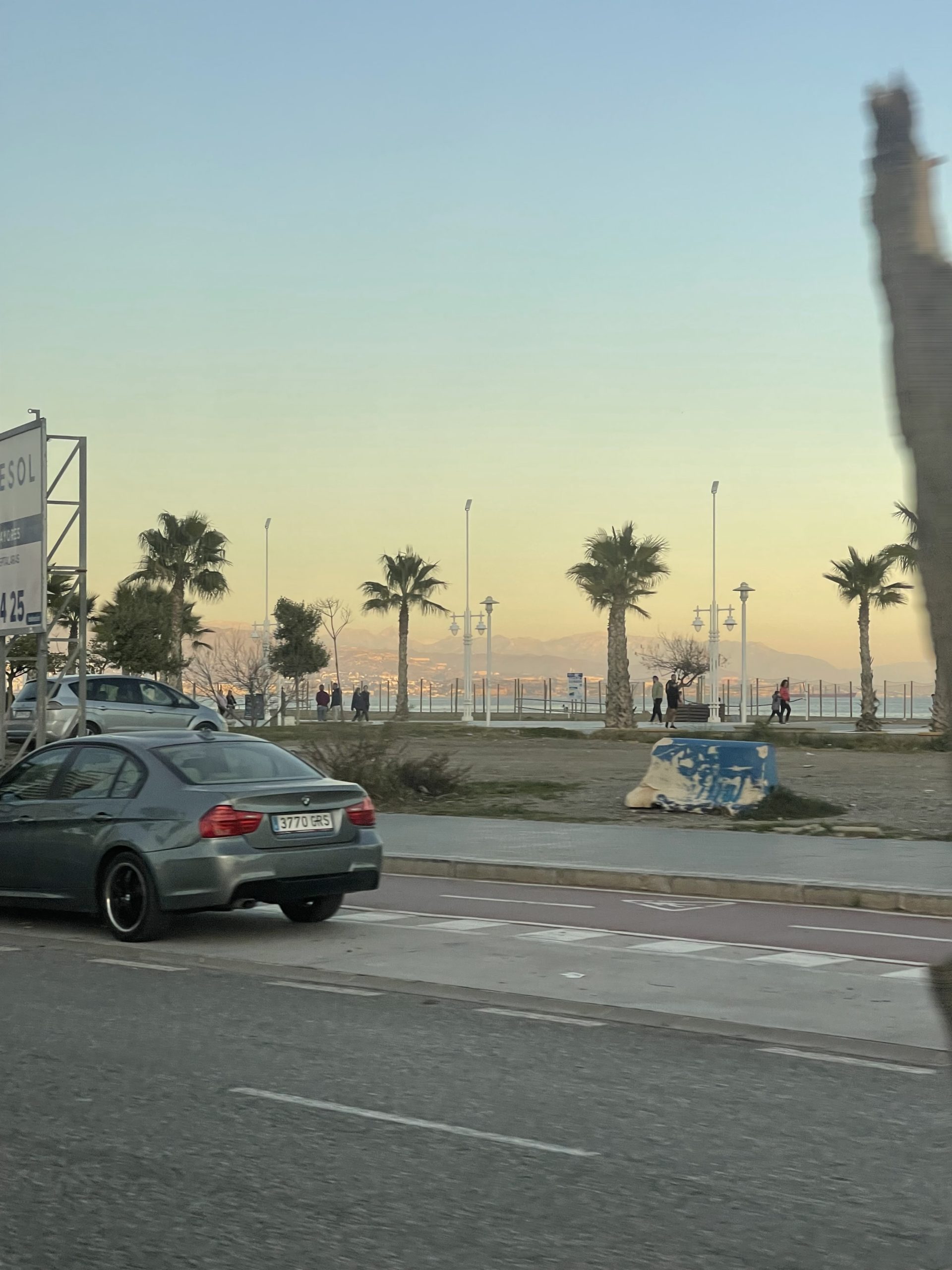 A picture of the street with palm trees and a sunset in the background.