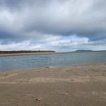 The Art of Being Alone: A Solo Date to Malahide Beach