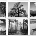 The US Postal Service to Release Stamp Collection Featuring the Photography of Ansel Adams