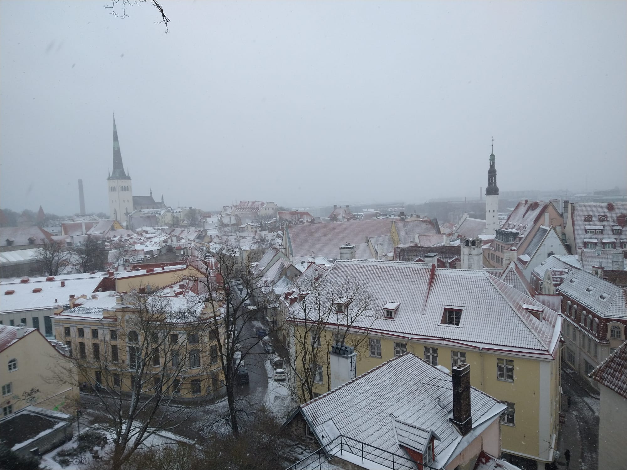 Braving the Baltics  - Off-Campus Study