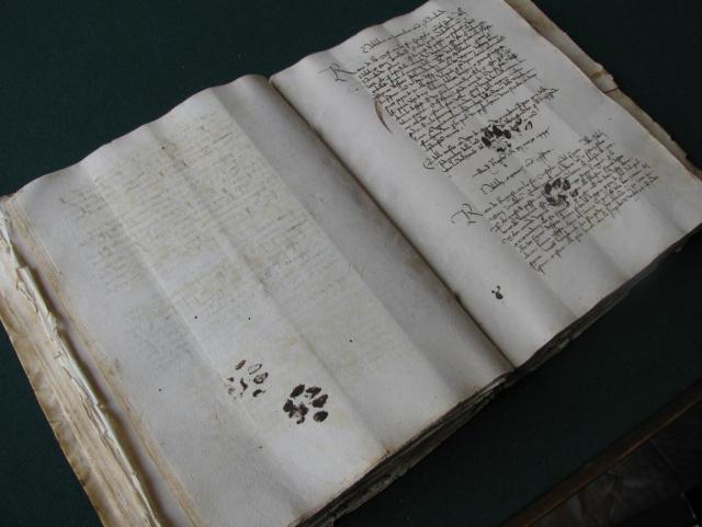 Medieval Cats Behaving Badly: Kitties That Left Paw Prints ... and Peed ... on 15th Century Manuscripts