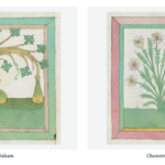 Behold the Kräuterbuch, a Lavishly Illustrated Guide to Plants and Herbs from 1462