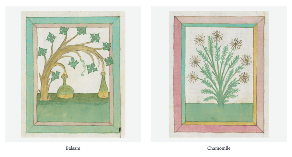 Behold the Kräuterbuch, a Lavishly Illustrated Guide to Plants and Herbs from 1462