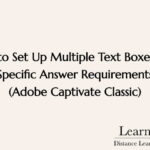 How to Set Up Multiple Text Boxes with Specific Answer Requirements (Adobe Captivate Classic)