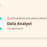 [Hiring] Data Analyst @Blue Wire Software