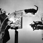 The Story Behind the Making of the Iconic Surrealist Photograph, Dalí Atomicus (1948)