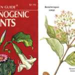 The Golden Guide to Hallucinogenic Plants: Explore the 1977 Illustrated Guide Created by Harvard's Groundbreaking Ethnobotanist Richard Evan Schultes