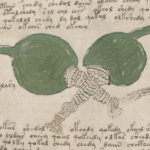 Explore a Digitized Edition of the Voynich Manuscript, “the World’s Most Mysterious Book"